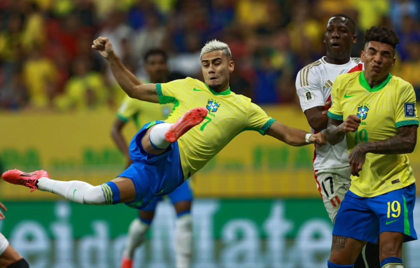 能是他们挑 能是他们挑