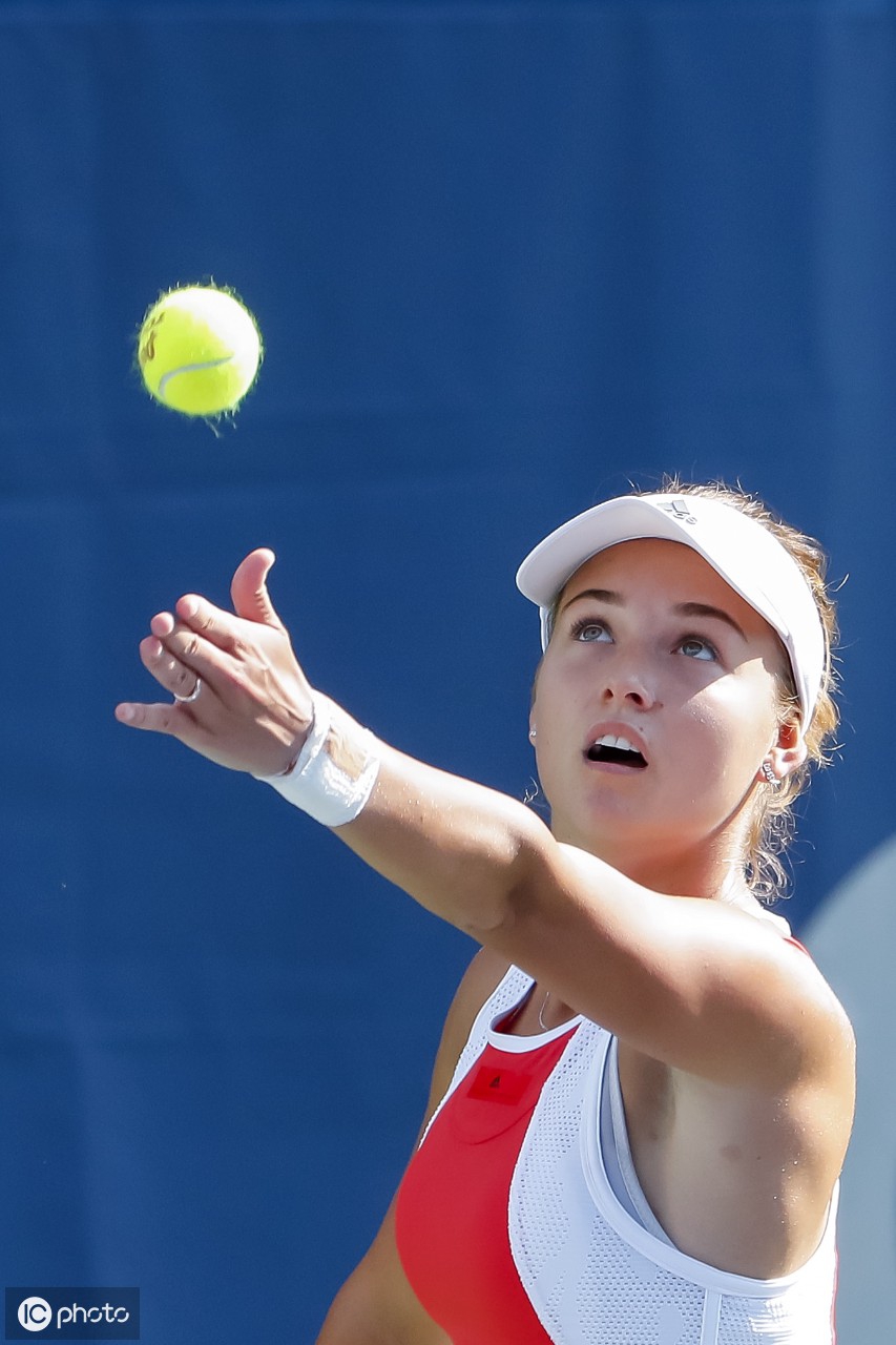 片领域的 片领域的