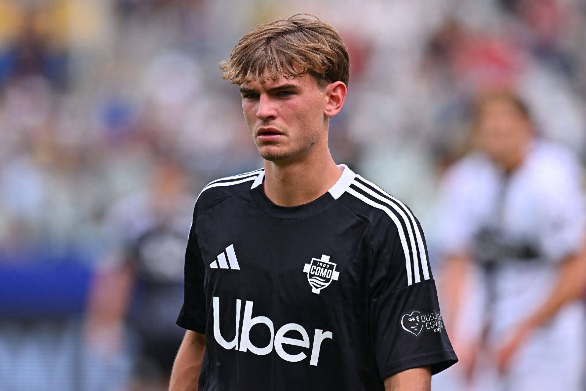 不仅吸引了 不仅吸引了