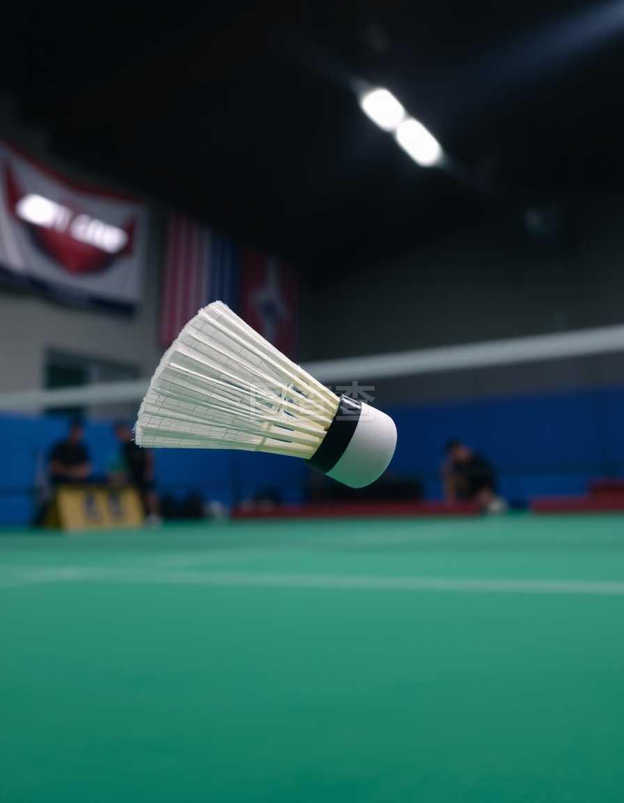 力的体现 力的体现