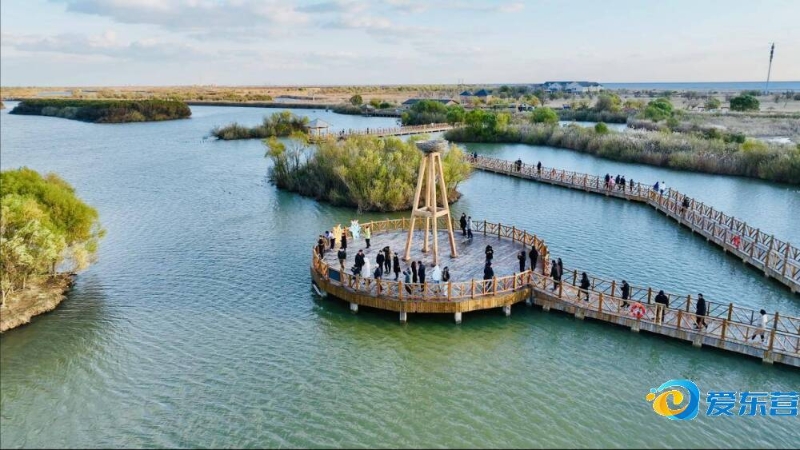 营地布置与 营地布置与